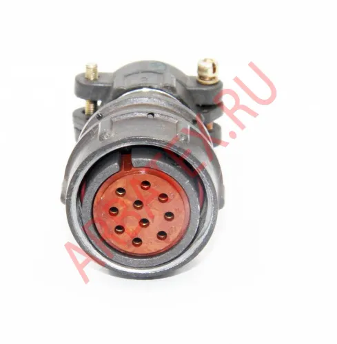 2РМДТ24КПЭ10Г5В1В Разъемы 2РМ, 2РМТ, 2РМГ, 2РМДТ, ОНЦ-РГ фото